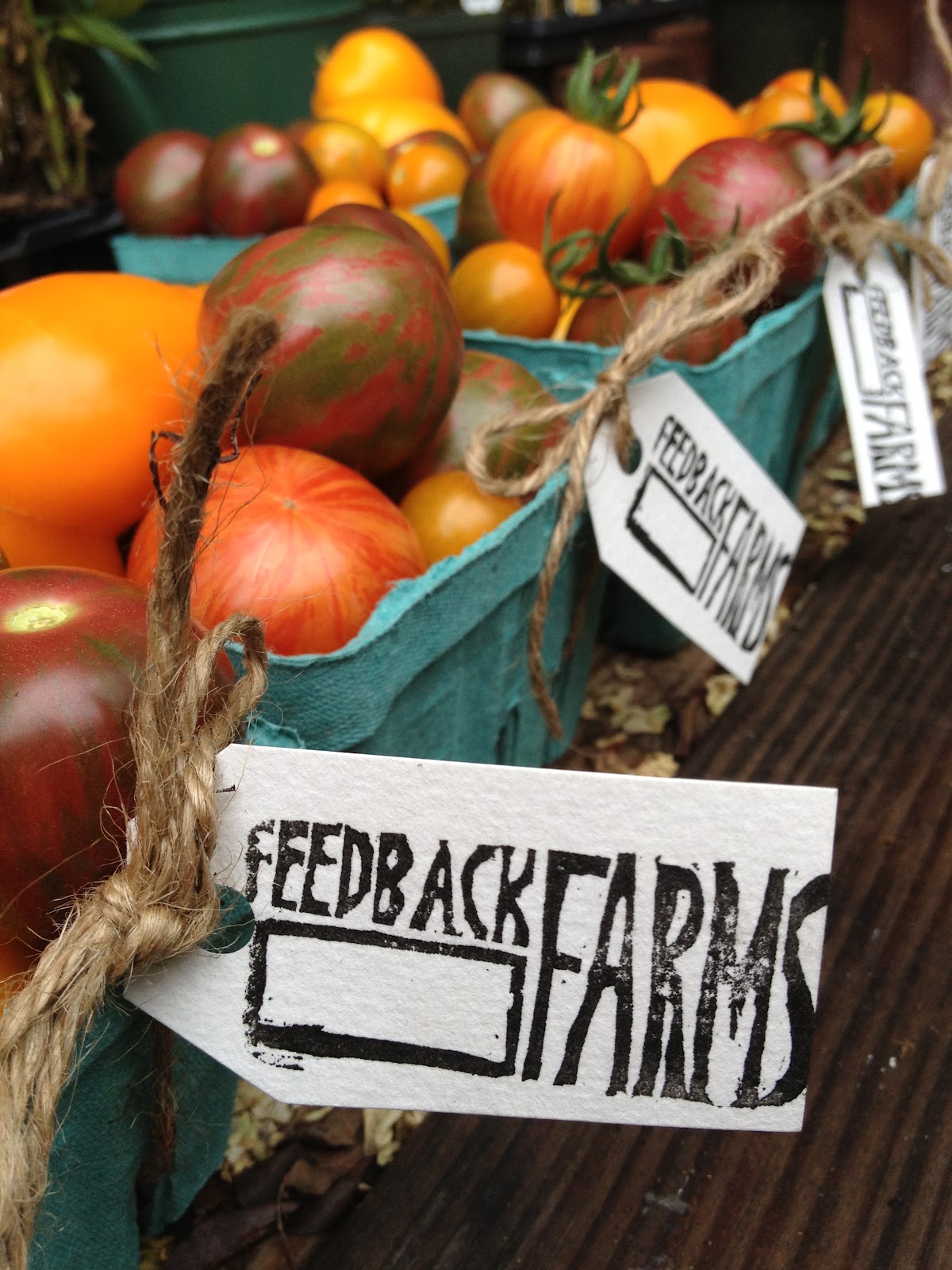 Featured Farmer: Feedback Farms